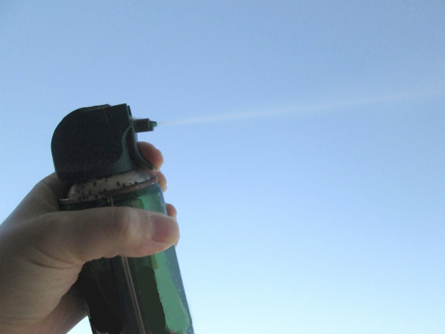 害虫駆除：アシナガバチ駆除手順