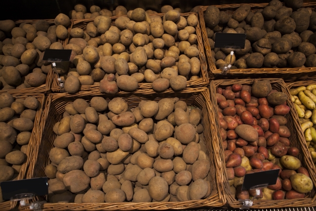 害虫駆除：クマネズミの駆除方法と効果的な対策