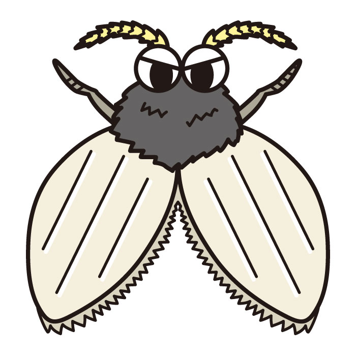 害虫駆除：チョウバエの生態・種類