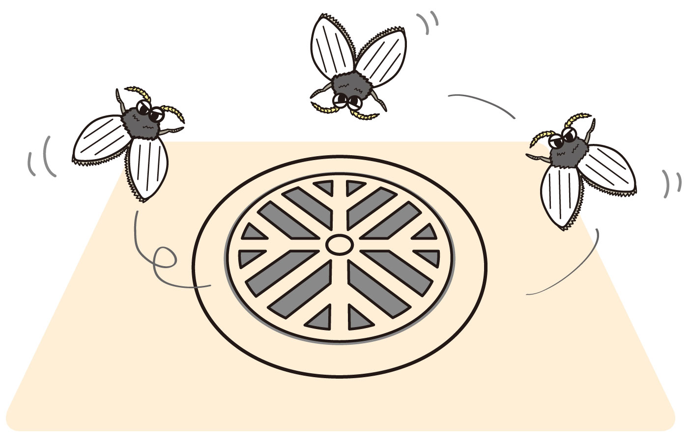 害虫駆除：チョウバエの侵入予防