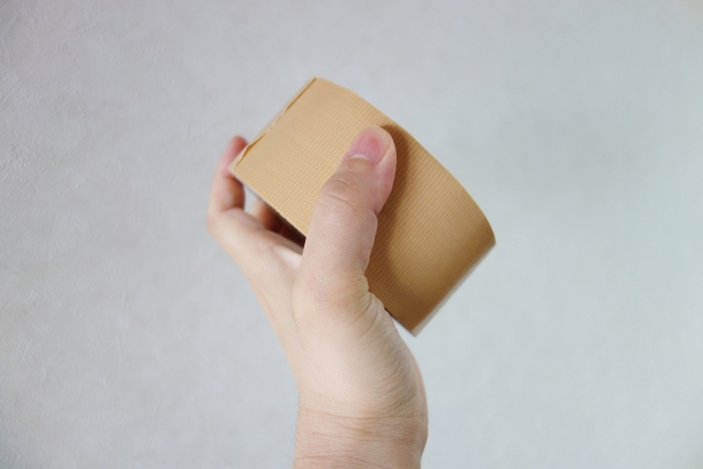 害虫駆除：ノミを見つけた時に行う対策