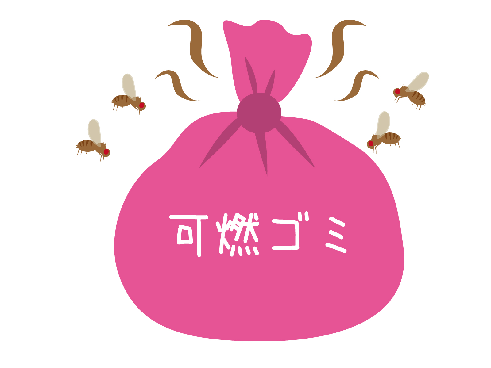 害虫駆除：コバエの種類と生態