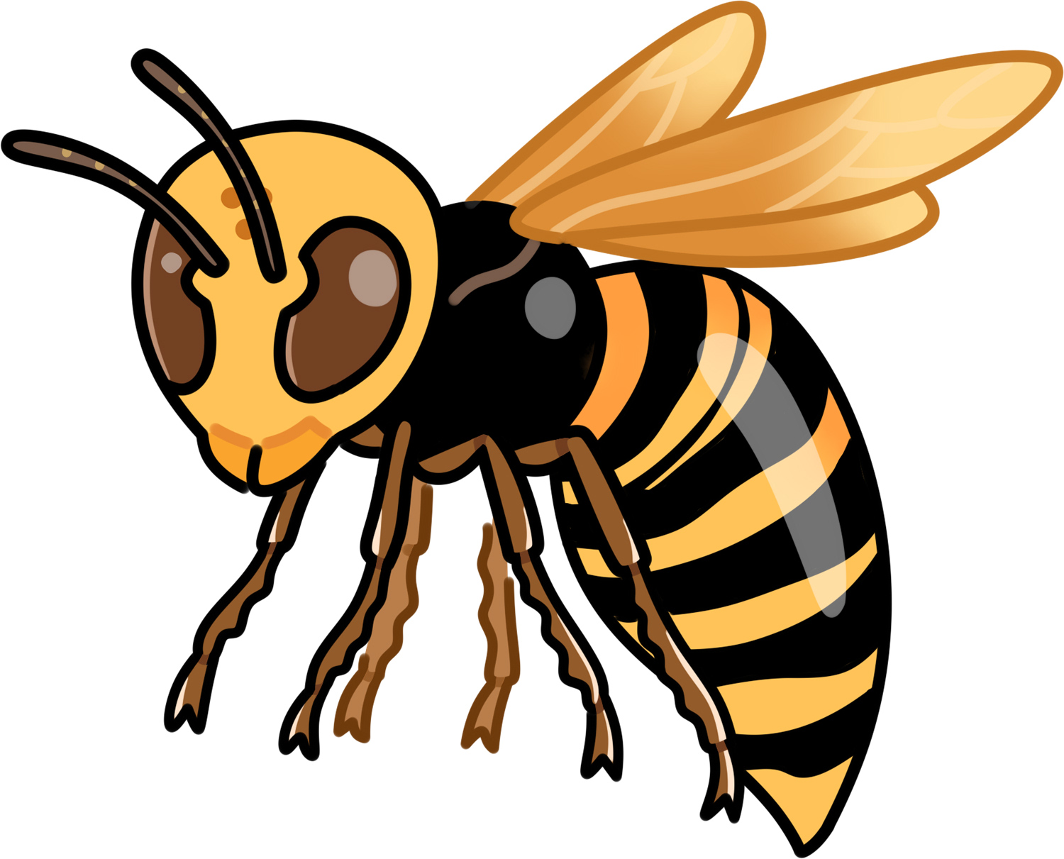 スズメバチの性格と活動時期は