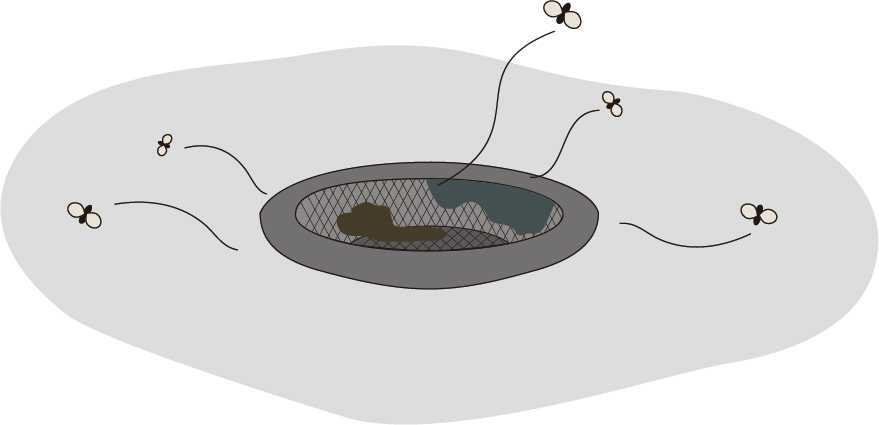 ウジ虫はなぜ発生するの？ 