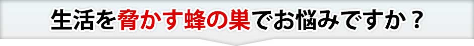 頭を悩ませる害虫に終止符を打ちませんか？