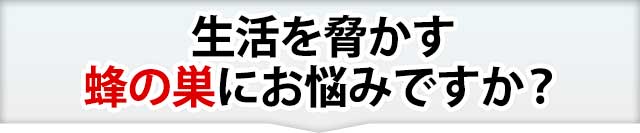 頭を悩ませる害虫に終止符を打ちませんか？