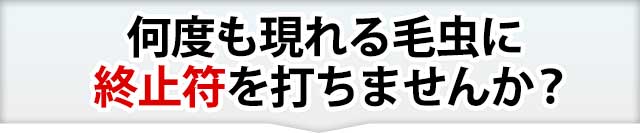 頭を悩ませる害虫に終止符を打ちませんか？
