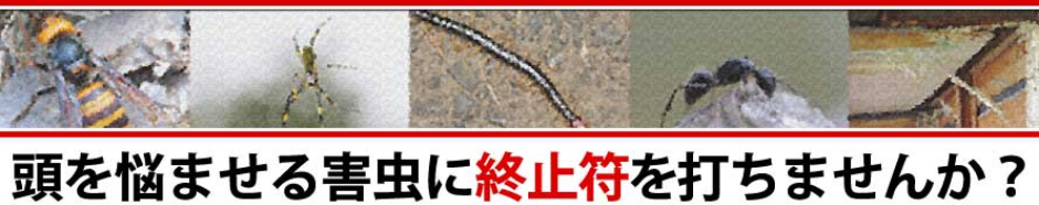 頭を悩ませる害虫に終止符を打ちませんか？