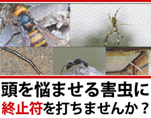 頭を悩ませる害虫に終止符を！