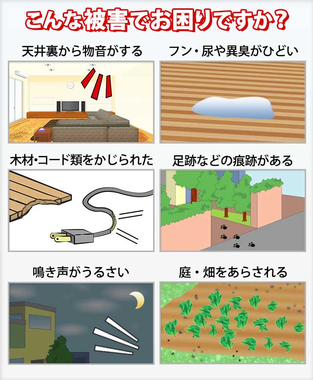 害虫トラブルでお困り