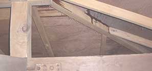 発生源から徹底対策