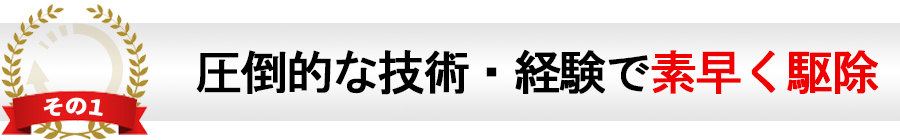 圧倒的な技術・経験で素早く駆除
