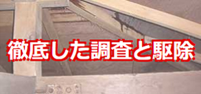 安全工事の徹底