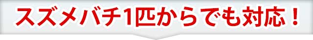 頭を悩ませる害虫に終止符を打ちませんか？