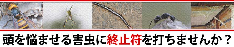 頭を悩ませる害虫に終止符を打ちませんか？